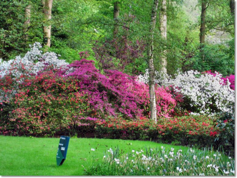 Holland (142)1.jpg